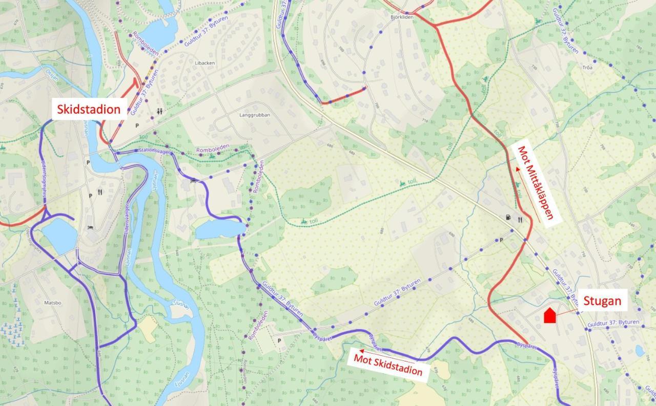 Bruksvallarna - Modern Fjaellstuga Med Panoramautsikt Och Wifi Екстер'єр фото
