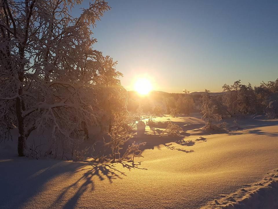 Bruksvallarna - Modern Fjaellstuga Med Panoramautsikt Och Wifi Екстер'єр фото