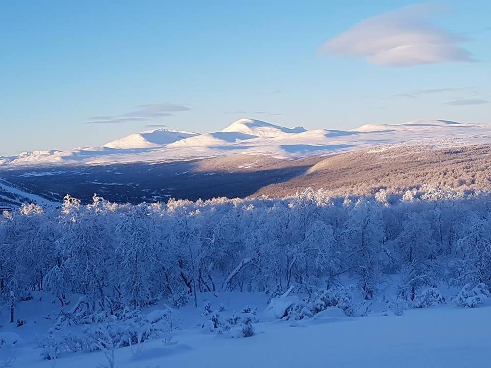 Bruksvallarna - Modern Fjaellstuga Med Panoramautsikt Och Wifi Екстер'єр фото
