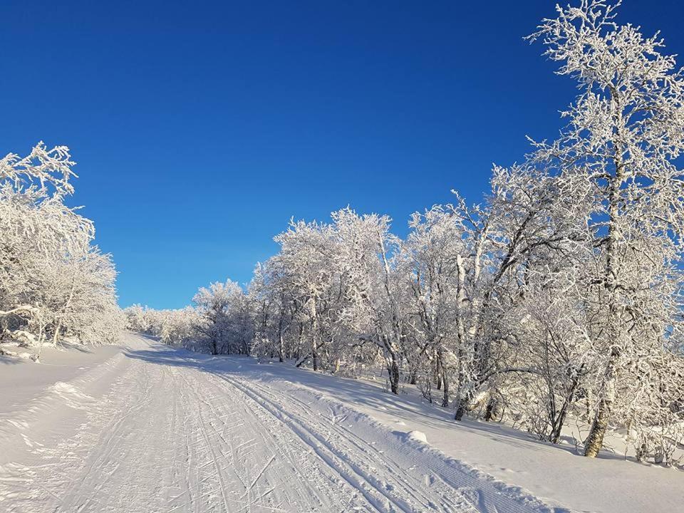 Bruksvallarna - Modern Fjaellstuga Med Panoramautsikt Och Wifi Екстер'єр фото
