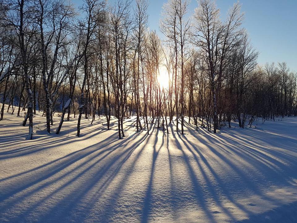 Bruksvallarna - Modern Fjaellstuga Med Panoramautsikt Och Wifi Екстер'єр фото