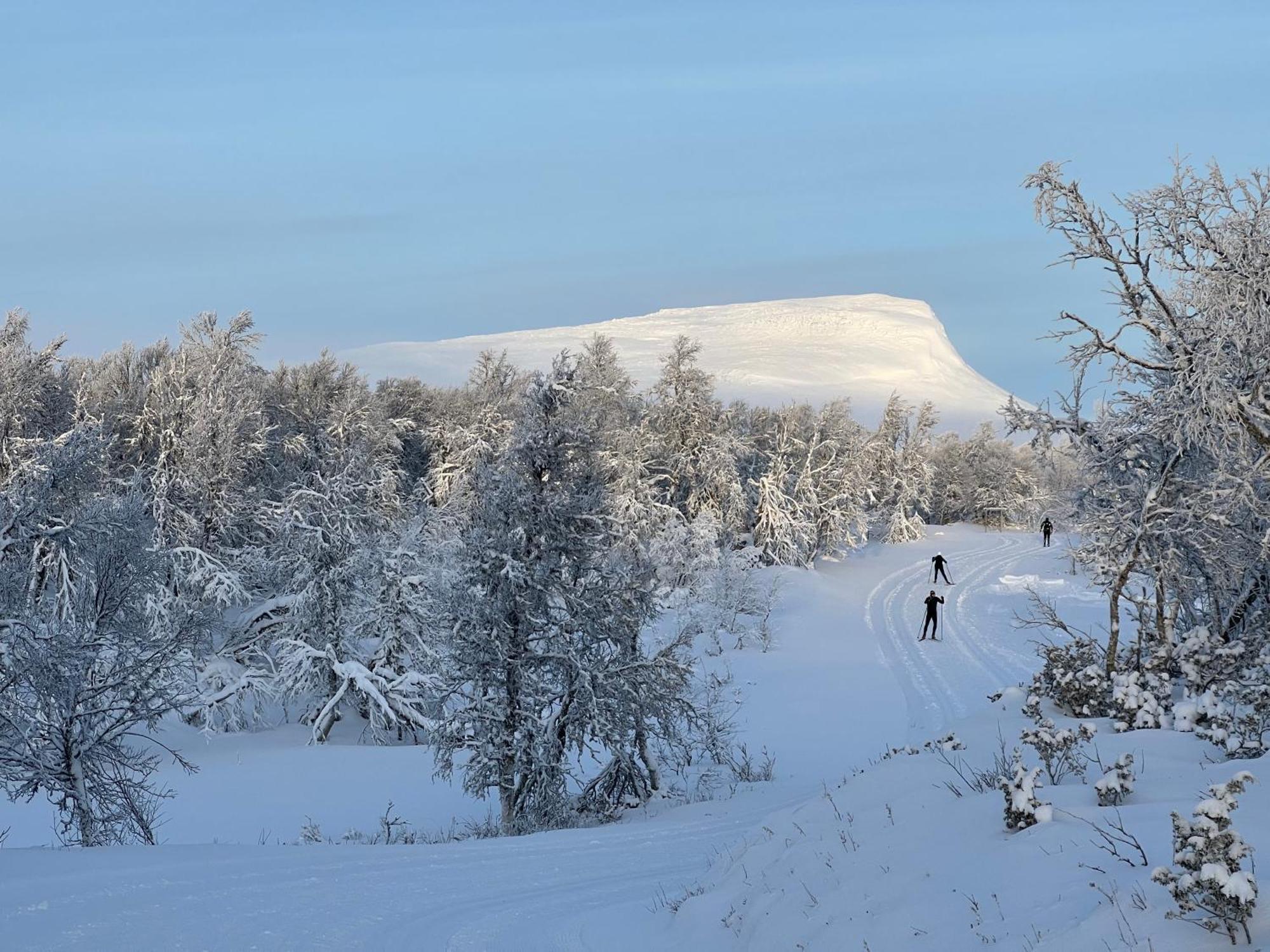 Bruksvallarna - Modern Fjaellstuga Med Panoramautsikt Och Wifi Екстер'єр фото